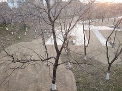 -襄阳城墙