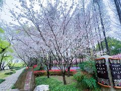 -三国水浒景区(无锡影视基地)