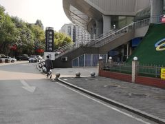 -重庆市奥林匹克体育中心-游泳跳水馆