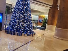 -上海浦东华美达大酒店