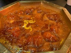 红汤锅底-蜀九香火锅(彩虹店)