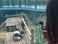 -大连森林动物园