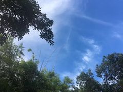 -大湾区中央湿地公园