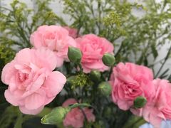 -IFC福州国际金融中心