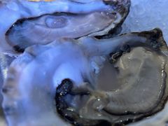 -斯普汇生蚝牛排馆(中骏世界城店)