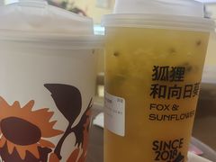 -狐狸和向日葵(北京路店)