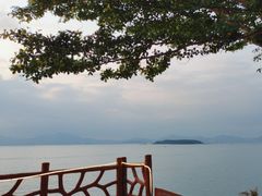 -七鲜渔港美食餐厅(巽寮湾海景店)