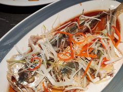 -前海沿·青岛菜(大拇指广场石老人店)