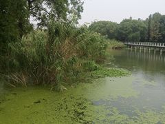 -蠡湖大桥公园