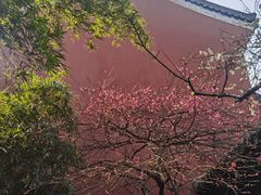 -钱王祠