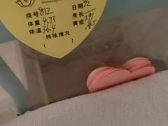 -美喇月子中心(南沙进港店)