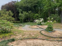 -洛阳市隋唐城遗址植物园