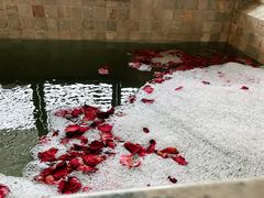 -春晖园度假酒店温泉