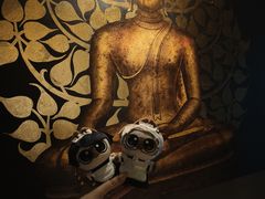 -菩泰·泰式草本按摩SPA(国大城市广场店)