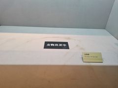 -台州博物馆
