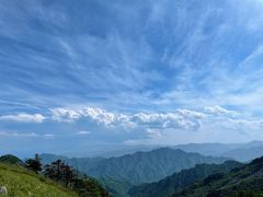 -朱雀国家森林公园