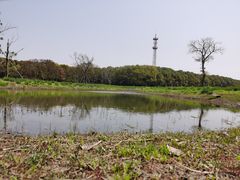 -嘉北郊野公园