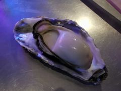 高压生蚝-老安火盆烤肉(金寨路店)
