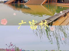 -广富林郊野公园