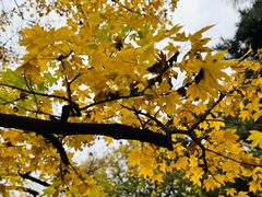 -国家植物园南园