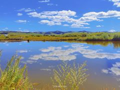 -塞罕坝国家级自然保护区