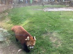 -黔灵山公园