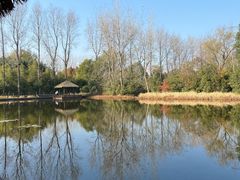 -溱湖国家湿地公园