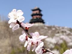 -定都阁