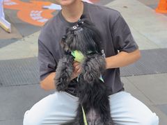 -帕帕拉兹宠物(亚洲旗舰店)