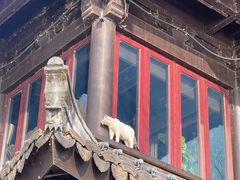 -柳莺湖上·湖景餐厅·江南菜(西湖店)