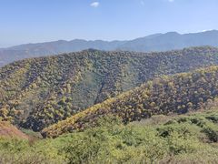 -云顶山风景区