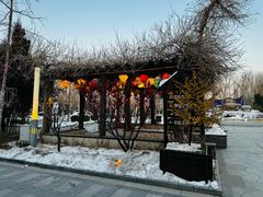 -春满园生态餐厅(南宫路店)