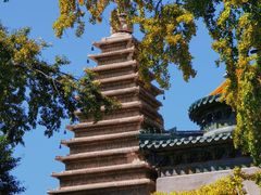 -北京石刻艺术博物馆(五塔寺)