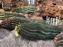 -南通洲际绿博园