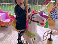 -大连铭湖国际观光牧场