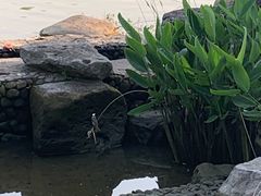 -宁波九龙湖开元度假村