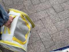 -乐派堂宠物医院·猫友好· 心脏科(东街店)