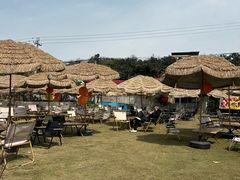 -桃源山庄·水蜜桃采摘·柴火鸡·烧烤团建(龙泉山店)
