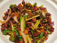 辣爆牛板肚-宁夏国强手抓羊肉·清真菜(未央路凤三店)