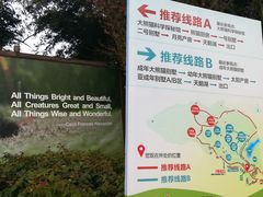导游图-成都大熊猫繁育研究基地