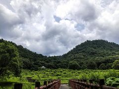 -广州市石门国家森林公园