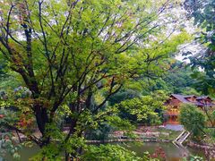 -参仙谷生态旅游度假区