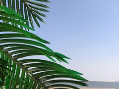 -秦皇岛秦皇国际大酒店