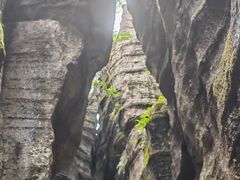 -梭布垭石林景区