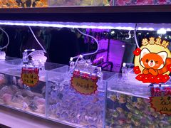 -中环花鸟鱼虫市场