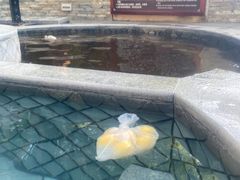 -碧水湾温泉