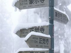 -青城山