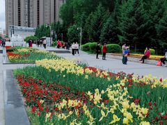 -长春公园(普阳街道)