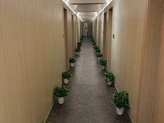 -青曼SPA·按摩·采耳·足道(龙之梦店)