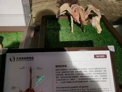 -昆山招商花园城